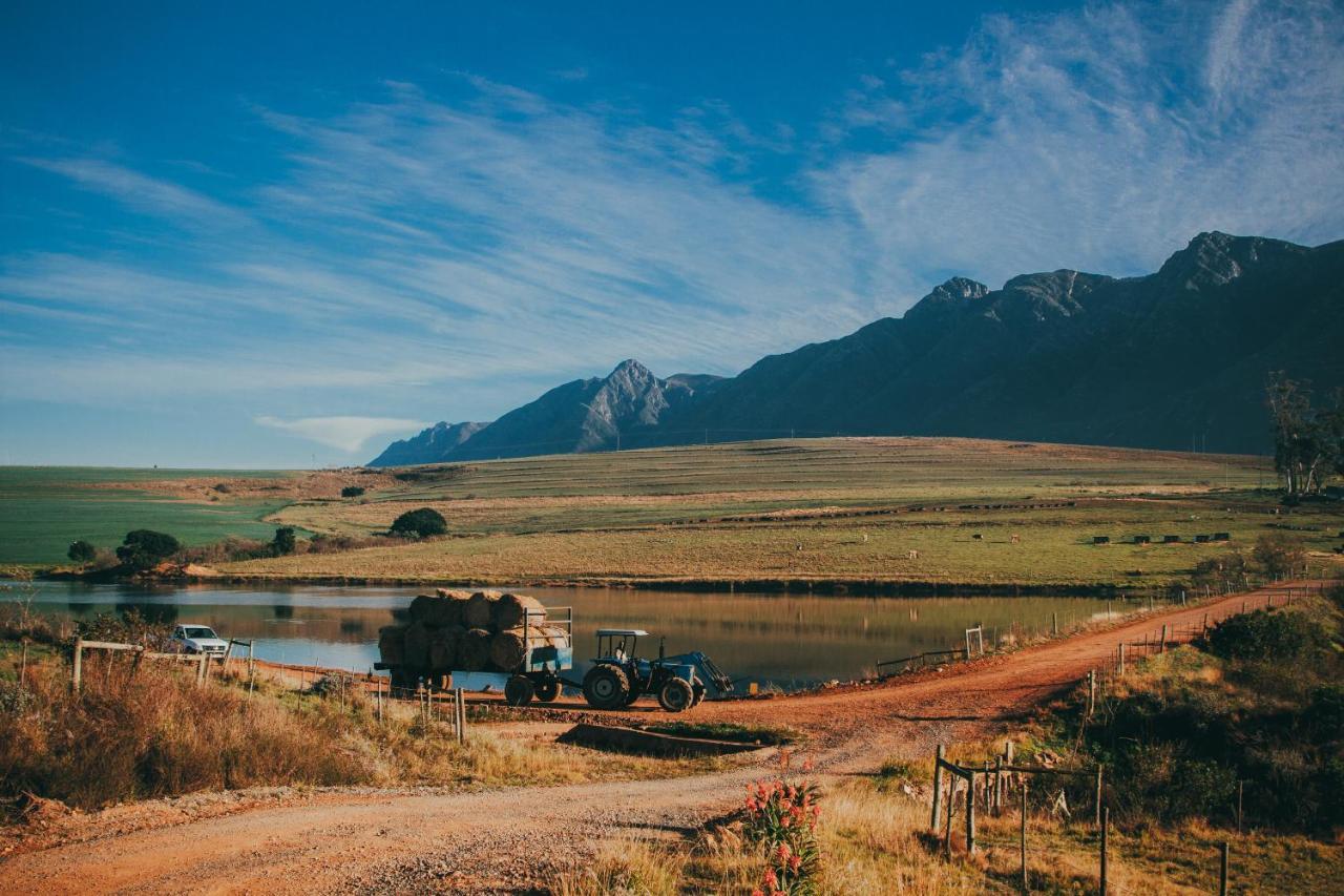Appelsbosch Guest Farm Villa Swellendam Exterior photo